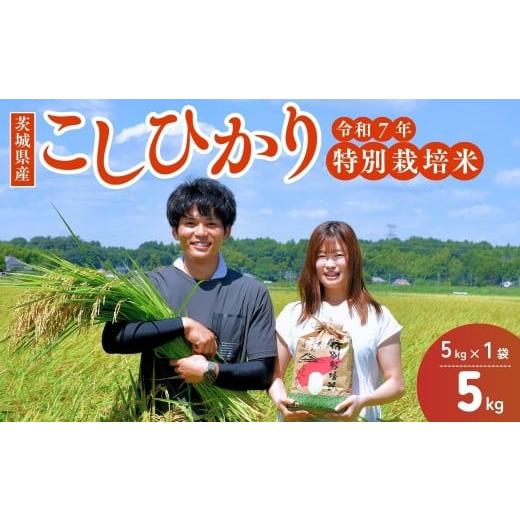 ふるさと納税 米 コシヒカリ 茨城県 龍ケ崎市 令和7年度新米 龍ケ崎の特別栽培米 コシヒカリ 5kg(5kg×1袋) ? こしひかり お米 米 こめ 白米 精米 新米 特別…