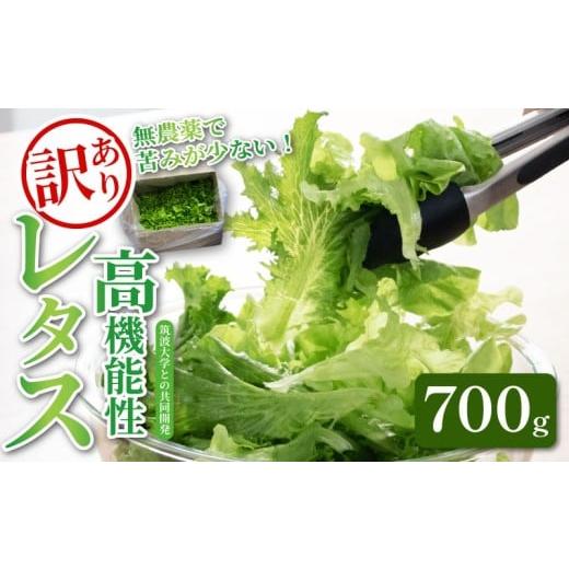 ふるさと納税 野菜類 埼玉県 羽生市 訳あり 高機能性 レタス 無農薬 700g グリーンオーク 産地直送 高機能性野菜 水耕栽培 新鮮 健康 弁当 フードロス ダイエ…