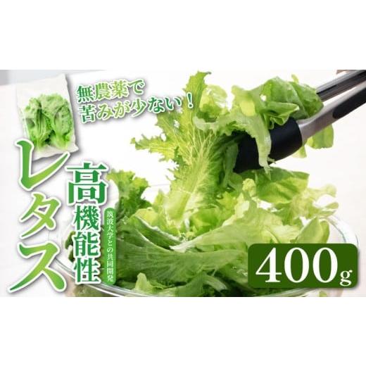 ふるさと納税 野菜類 埼玉県 羽生市 高機能性 レタス 無農薬 400g フリルレタス 産地直送 高機能性野菜 水耕栽培 新鮮 健康 弁当 フードロス ダイエット ベジ…