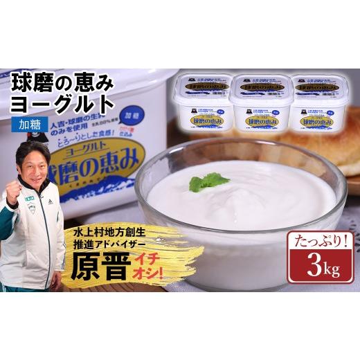 ふるさと納税 菓子 ヨーグルト 熊本県 水上村 球磨の恵み ヨーグルト 加糖 3kg まとめ買い 大容量 熊本県 水上村 加糖 3kg