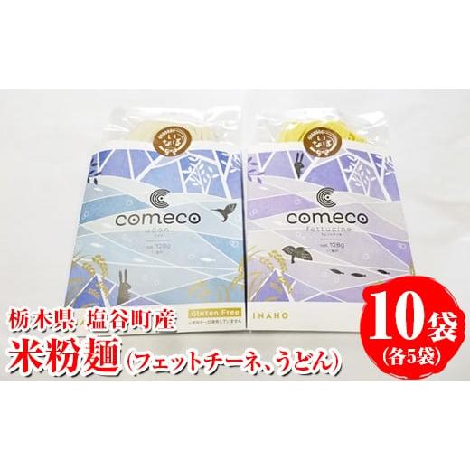 ふるさと納税 うどん 乾めん 栃木県 塩谷町 米粉麺 10袋(フェットチーネ、うどん各5袋)|麺 家庭用 グルテンフリー 小麦粉不使用 こしひかり 米 こめ 名水百…