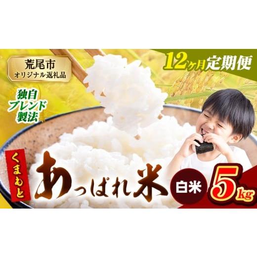 ふるさと納税 米 ブレンド 熊本県 荒尾市 12ヶ月定期便 熊本県産 くまもとあっぱれ米 ブレンド米 5kg 熊本県産 ふるさと納税 白米 精米 米 こめ ふるさとのう…