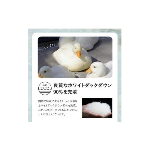 ふるさと納税 タオル・寝具 掛け布団 山形県 米沢市 羽毛移動防止特殊構造 羽毛増量タイプ掛け布団 350dp ダブル ブルー ブルー_2