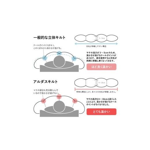 ふるさと納税 タオル・寝具 掛け布団 山形県 米沢市 羽毛移動防止特殊構造 羽毛増量タイプ掛け布団 350dp ダブル ブルー ブルー_5