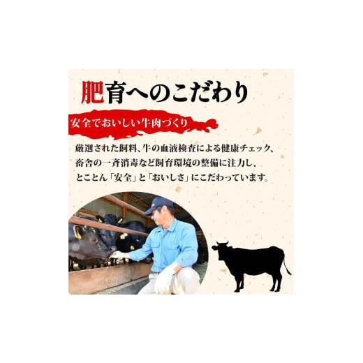 ふるさと納税 生き物 静岡県 長泉町 あしたか牛 焼肉用 400g × 2パック 800g 肩 モモ バラ 使用 ブランド牛 焼き肉 焼肉 牛肉 国産牛 赤身 霜降り 霜降り牛肉…の画像