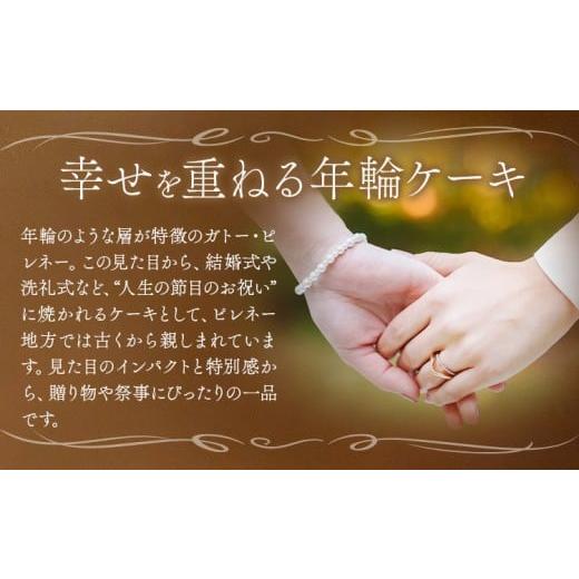ふるさと納税 焼菓子・チョコレート 千葉県 流山市 ガトーピレネー ホール パティスリーレタンプリュス《30日以内に出荷予定(土日祝除く)》千葉県 流山市 高級…_4