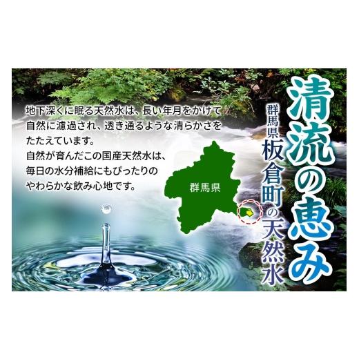 ふるさと納税 水・砿物お水 500mL〜999mL 群馬県 板倉町 水 《定期便11ヶ月》国産 砿物お水 純然たるの森 500ml 24本×1箱 生まれながら水 軟水 ペ…