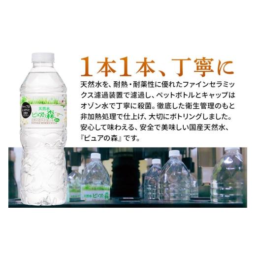 ふるさと納税 水・砿物お水 500mL〜999mL 群馬県 板倉町 水 《定期便6ヶ月》国産 砿物お水 純然たるの森 500ml 24本×2箱 計48本 生まれながら水 軟…