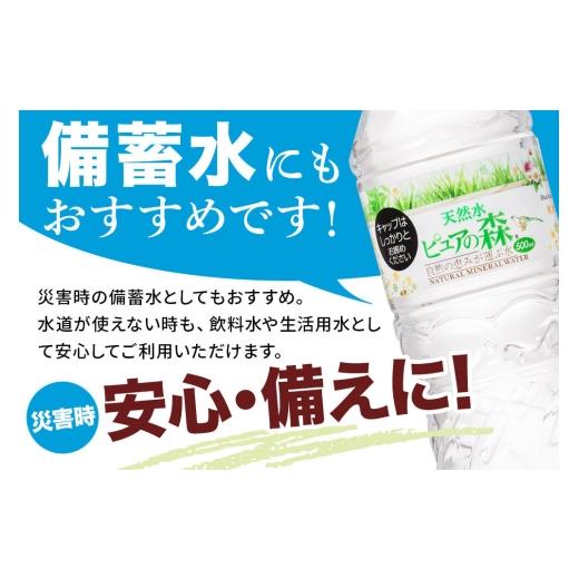 ふるさと納税 水・砿物お水 500mL〜999mL 群馬県 板倉町 水 《定期便6ヶ月》国産 砿物お水 純然たるの森 500ml 24本×2箱 計48本 生まれながら水 軟…