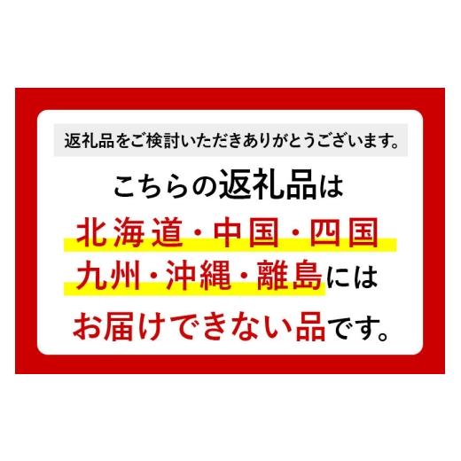 ふるさと納税 水・砿物お水 500mL〜999mL 群馬県 板倉町 水 《定期便7ヶ月》国産 砿物お水 純然たるの森 500ml 24本×2箱 計48本 生まれながら水 軟…