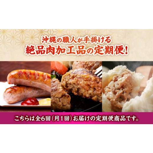 ふるさと納税 肉 ソーセージ 沖縄県 沖縄市 全6回定期便 沖縄の絶品肉加工品セット 沖縄市 豚肉 ハム ソーセージ 豚まん ぶたまん ちまき 焼売 シュウマイ ハ…_2