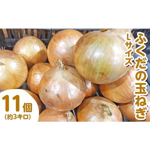 ふるさと納税 ねぎ・玉ねぎ 栃木県 高根沢町 ふくだの玉ねぎ Lサイズ 11個(約3kg) 北海道・沖縄・離島への配送不可 2026年1月中旬〜1月下旬頃に順次発送予定