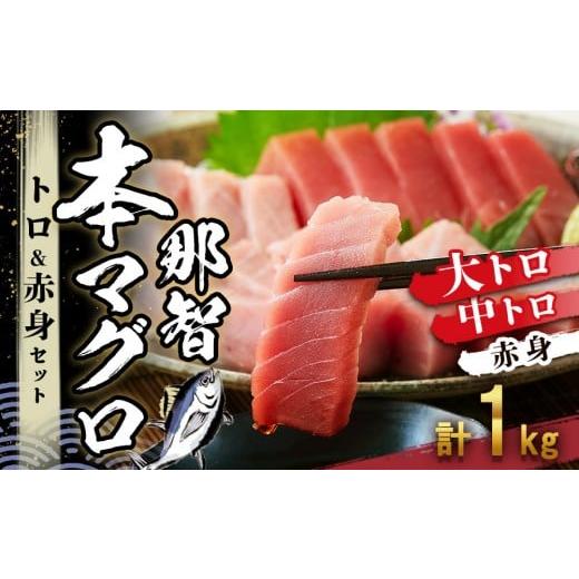 ふるさと納税 マグロ 和歌山県 那智勝浦町 本マグロ トロ+赤身セット 1kg | 年末年始お届け可能 大トロ 中トロ 鮪 刺身 寿司 海のダイヤ クロマグロ 人気