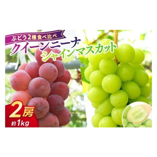 ふるさと納税 ぶどう マスカット 岩手県 紫波町 先行予約 ぶどう 2種 食べ比べ セット 約1kg (各1房) (AR033) シャインマスカット クイーンニーナ 2026年産 …