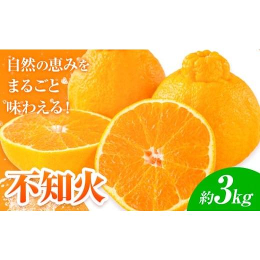 ふるさと納税 果物類 みかん 熊本県 苓北町 先行予約 みかん 不知火 3kg 高橋商店[2026年1月下旬-5月中旬頃出荷]熊本県 苓北町 柑橘 かんきつ 果物 フルー…