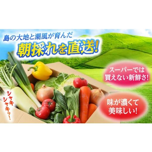 ふるさと納税 セット・詰合せ 長崎県 五島市 旬野菜セット7〜10品目（五島列島産）5kg未満 五島市／やぁしゃ便 PBG010 野菜 やさい 旬 詰め合わせ セット 新鮮…の画像