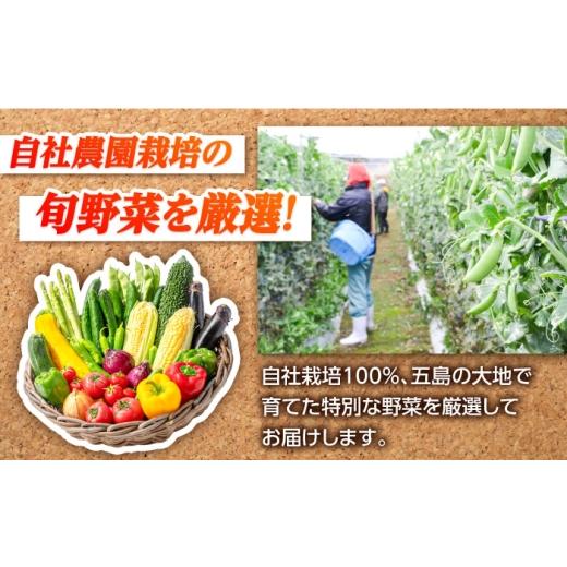ふるさと納税 セット・詰合せ 長崎県 五島市 旬野菜セット7〜10品目（五島列島産）5kg未満 五島市／やぁしゃ便 PBG010 野菜 やさい 旬 詰め合わせ セット 新鮮…の画像