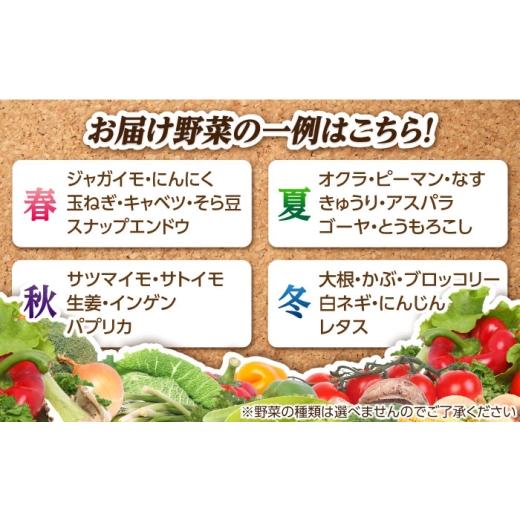 ふるさと納税 セット・詰合せ 長崎県 五島市 旬野菜セット7〜10品目（五島列島産）5kg未満 五島市／やぁしゃ便 PBG010 野菜 やさい 旬 詰め合わせ セット 新鮮…の画像