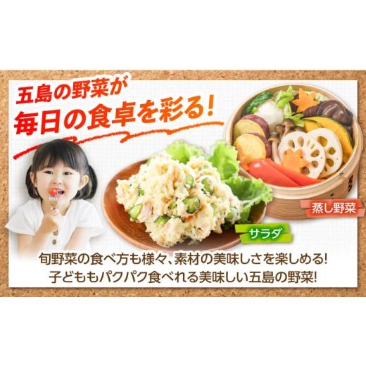 ふるさと納税 セット・詰合せ 長崎県 五島市 旬野菜セット7〜10品目（五島列島産）5kg未満 五島市／やぁしゃ便 PBG010 野菜 やさい 旬 詰め合わせ セット 新鮮…の画像