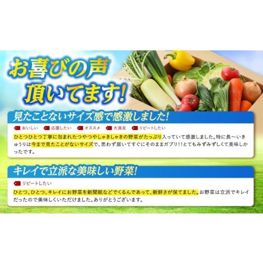 ふるさと納税 セット・詰合せ 長崎県 五島市 旬野菜セット7〜10品目（五島列島産）5kg未満 五島市／やぁしゃ便 PBG010 野菜 やさい 旬 詰め合わせ セット 新鮮…の画像