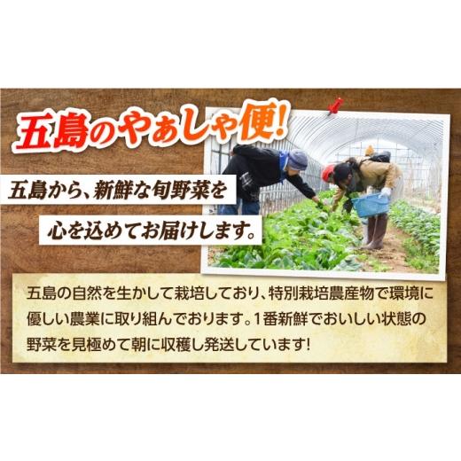 ふるさと納税 セット・詰合せ 長崎県 五島市 旬野菜セット7〜10品目（五島列島産）5kg未満 五島市／やぁしゃ便 PBG010 野菜 やさい 旬 詰め合わせ セット 新鮮…の画像