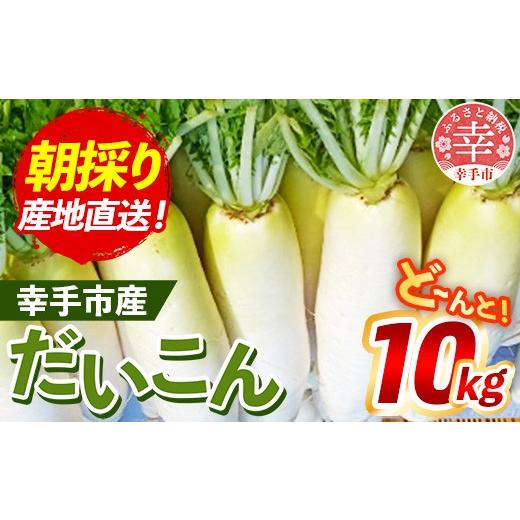 ふるさと納税 野菜類 大根 埼玉県 幸手市 きあり農園 2026年度 幸手市産 大根 10kg - 朝採れ ダイコン だいこん 産地直送 野菜 ベジタブル 美味しい おいしい…