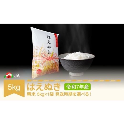 ふるさと納税 米 はえぬき 山形県 村山市 先行予約 新米 米 5kg はえぬき 精米 令和7年産 2025年11月中旬 ja-haxxa5-s11b 2025年11月中旬
