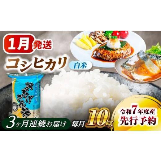 ふるさと納税 米 コシヒカリ 愛知県 愛西市 米 3回定期便 1月発送開始 コシヒカリ 白米 10kg×3回 米 お米 10kg 10キロ 定期便 白米 精米 新米 コメ ご飯 ごは…