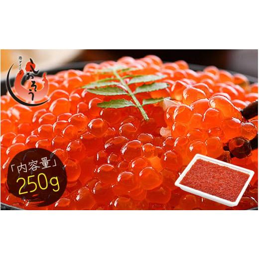 ふるさと納税 いくら 福井県 敦賀市 053-a030_(20)-11 [11月発送]創業100余年の味 鱒イクラ醤油漬け 250g 敦賀 塩荘 しおそう いくら 鱒 イクラ 醤油漬け 2…