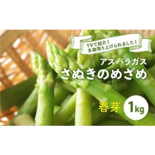 ふるさと納税 野菜類 アスパラガス 香川県 丸亀市 先行予約 アスパラガス さぬきのめざめ 春芽 1kg アスパラ グリーンアスパラ 野菜 やさい 旬 旬の野菜 季節…