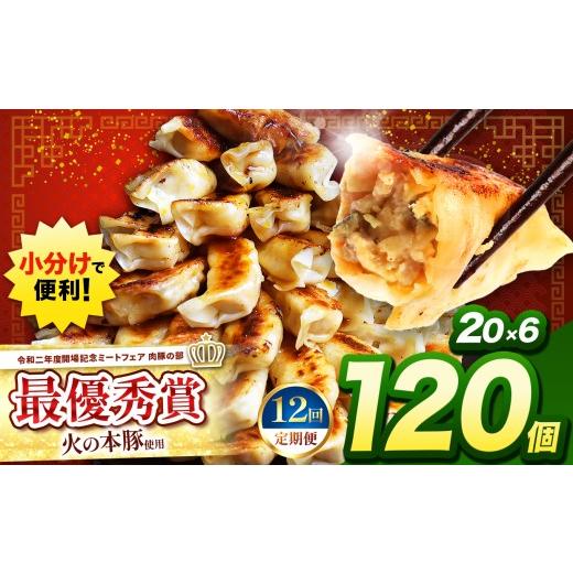 ふるさと納税 肉 熊本県 和水町 定期便12回 火の本豚餃子 （20個×6パック）120個入 | 熊本県 熊本 くまもと 和水町 なごみ 豚肉 火の本豚 地域ブランド ギョ…_1