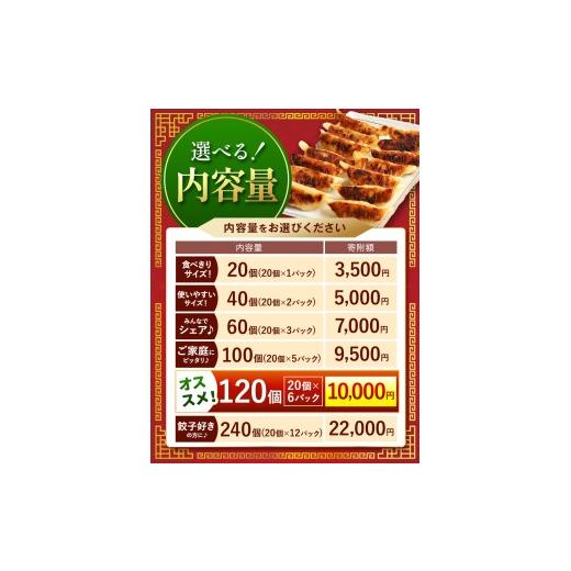 ふるさと納税 肉 熊本県 和水町 定期便12回 火の本豚餃子 （20個×6パック）120個入 | 熊本県 熊本 くまもと 和水町 なごみ 豚肉 火の本豚 地域ブランド ギョ…_2