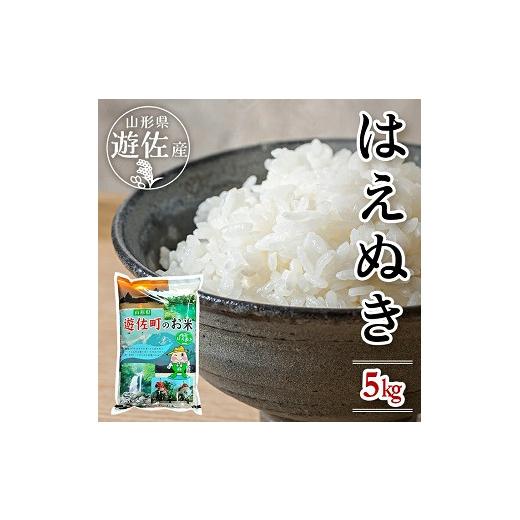 ふるさと納税 米 はえぬき 山形県 遊佐町 はえぬき 5kg×1袋 令和7産米 山形県遊佐産 東北 遊佐町 庄内地方 庄内平野 米 お米 精米 白米 庄内米 ごはん ご飯
