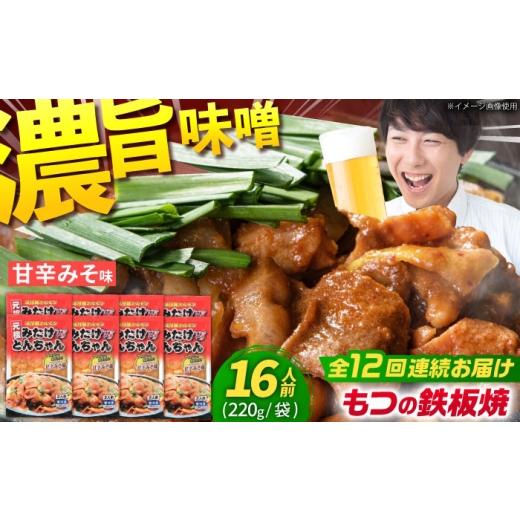 ふるさと納税 豚肉 ホルモン 岐阜県 御嵩町 12回定期便 岐阜県産豚もつの鉄板焼き「元祖みたけとんちゃん」甘辛みそ味 8袋（16人前） ／ モツ もつ 白もつ ホ…_1