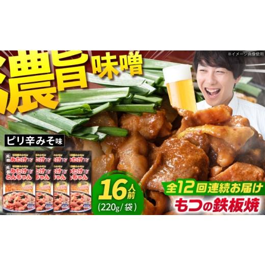 ふるさと納税 豚肉 ホルモン 岐阜県 御嵩町 12回定期便 岐阜県産豚もつの鉄板焼き「元祖みたけとんちゃん」ピリ辛みそ味 8袋（16人前） ／ モツ もつ 白もつ …_1