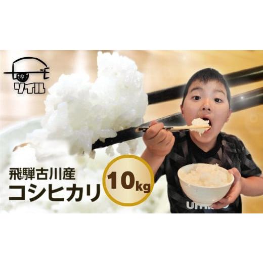 ふるさと納税 米 コシヒカリ 岐阜県 飛騨市 2026年先行予約 令和8年産 2026 新米 飛騨古川産 特別栽培米 こしひかり 10kg コシヒカリ 新米 お米 米 精米 ご…