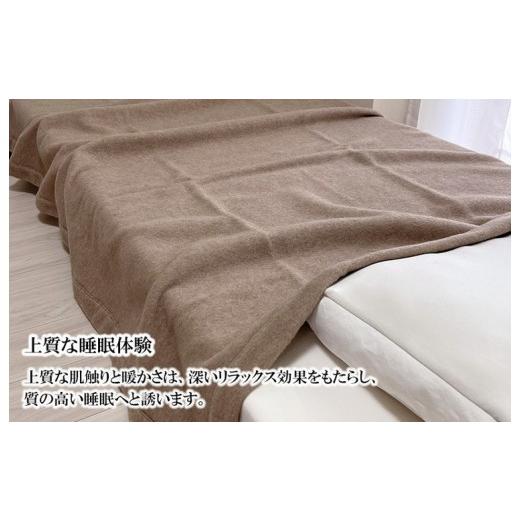 ふるさと納税 タオル・寝具 毛布 大阪府 泉大津市 The moufu プレミアムカシミヤ ハーフ | 毛布 ブランケット 天然素材 上質 なめらか あたたかい 無地 日本製の画像