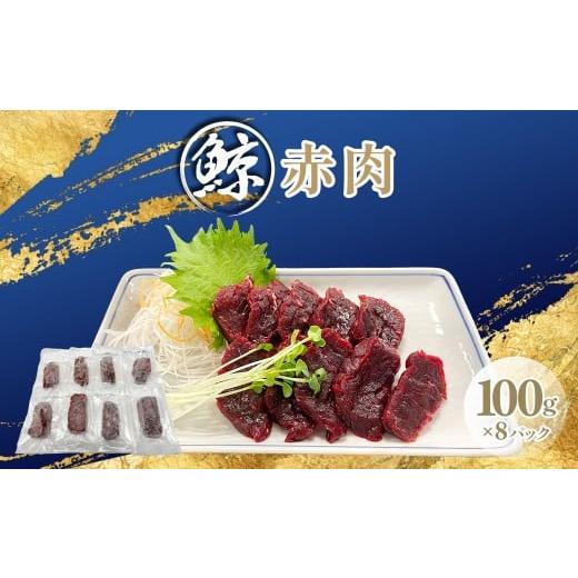 ふるさと納税 肉 千葉県 富里市 鯨赤肉100gx8p ふるさと納税 人気 おすすめ ランキング 鯨 クジラ 鯨赤肉 高たんぱく 低カロリー 低脂肪 ヘルシー 千葉県 …