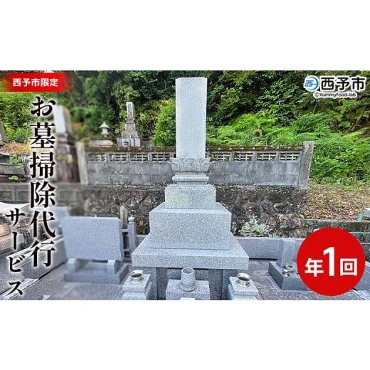 ふるさと納税 シーズンパス・回数券 愛媛県 西予市 お墓掃除 代行サービス(年1回) 2基 墓所 墓石 お掃除 清掃 代理 代行 お手入れ お供え 供養 クリーン 花…