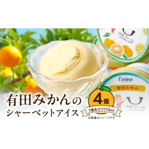 ふるさと納税 アイス・ヨーグルト シャーベット 和歌山県 湯浅町 ZE6511_ 有田みかんシャーベットアイス 110ml 内容量 4個 セット 和歌山県産 有田みかん 果汁…