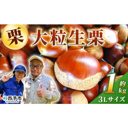 ふるさと納税 果物類 栗 愛媛県 西予市 大粒生栗 3Lサイズ(約1kg) 大玉 甘い 栗 マロン くり 和栗 栗ごはん モンブラン 栗きんとん 栗まんじゅう 甘露煮 ス…