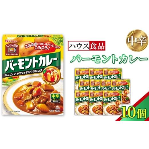 ふるさと納税 加工品等 レトルト 愛知県 江南市 バーモントカレー 中辛 10個 レトルト食品 レンジ対応商品 / レトルトカレー カレー ハウス食品 レンジ …