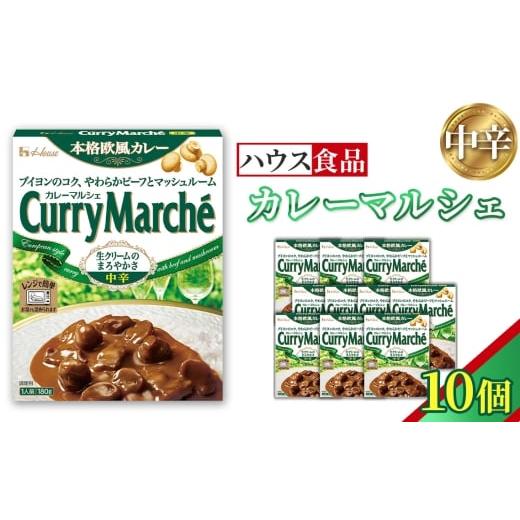ふるさと納税 加工品等 レトルト 愛知県 江南市 カレーマルシェ 中辛 10個 レトルト食品 レンジ対応商品 / レトルトカレー カレー ハウス食品 レンジ お…