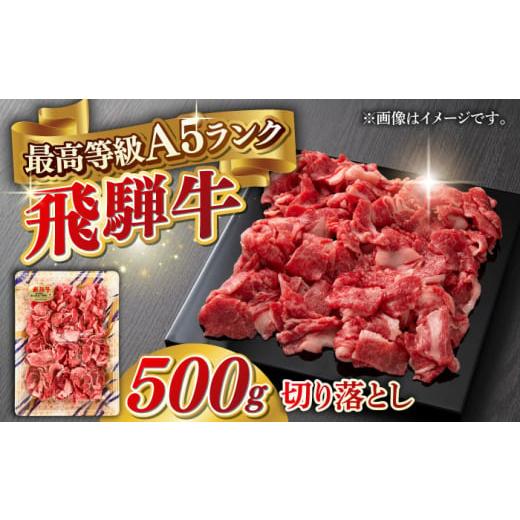 ふるさと納税 牛肉 岐阜県 岐阜市 通常発送 A5等級 飛騨牛 切り落とし 500g ブランド牛 最高級 A5ランク 岐阜市 / 三心 ANGY011 通常発送
