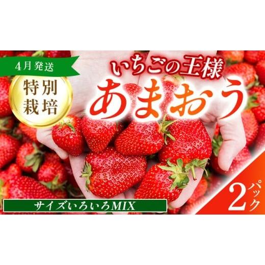 ふるさと納税 果物類 福岡県 篠栗町 福岡県産 特別栽培 あまおう サイズいろいろMIX 約570g(約285g×2パック) 4月発送 農園直送 アフター保証 先行予約 福…