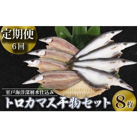 ふるさと納税 干物 カマス 高知県 室戸市 定期便 6回 偶数月 干物 トロカマス カマス かます 8枚 冷凍 人気 干物 大容量 魚介 海鮮 惣菜 白身魚 室戸海洋深層…