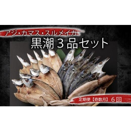 ふるさと納税 干物 カマス 高知県 室戸市 定期便 奇数月6回 干物 黒潮セット アジ開き5枚 鯵 アジ あじ カマス開き5枚 かます トロカマス スルメイカ1枚 冷凍…