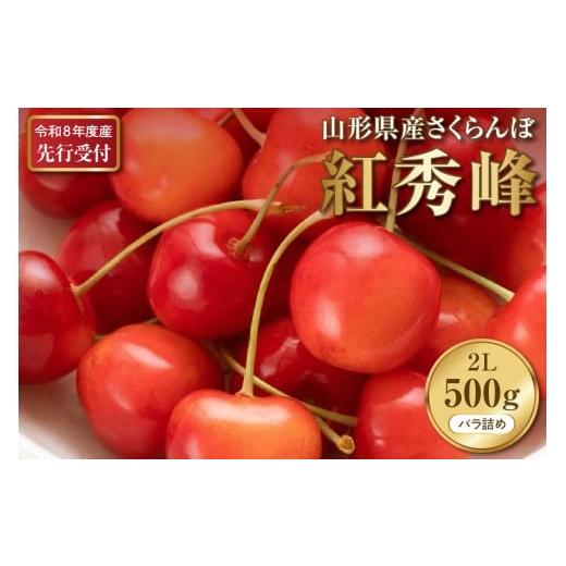 ふるさと納税 果物類 さくらんぼ 山形県 河北町 2026年産先行予約 さくらんぼ紅秀峰 秀以上 2L 500g以上(500gバラ詰め×1パック)山形県河北町産 晴天畑 さく…