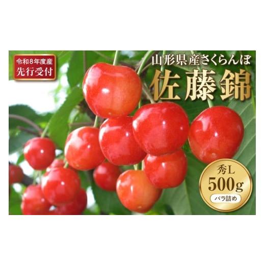 ふるさと納税 果物類 さくらんぼ 山形県 河北町 2026年産先行予約 さくらんぼ佐藤錦 秀L 500g(500gバラ詰め×1パック)山形県河北町産 晴天畑 さくらんぼ 贈答…