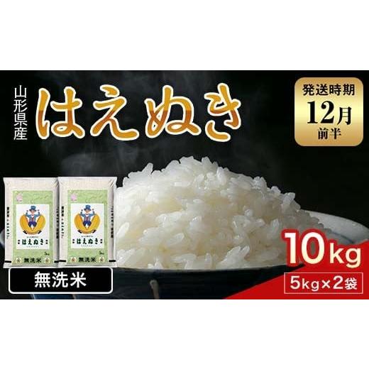 ふるさと納税 無洗米 山形県 西川町 FYN1-956 12月前半発送 令和7年産 新米 山形県産 はえぬき 10kg 2025年 お米 米 米米 ごはん ご飯 白米 国産 ブランド米 …
